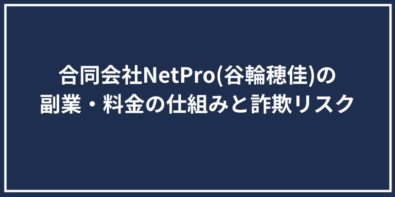 合同会社NetPro(谷輪穂佳)の副業・料金の仕組みと詐欺リスク